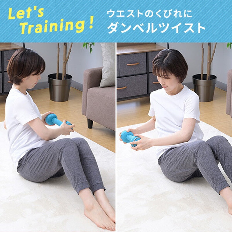 SFTD-2.0×2 ダンベル 砂 コンパクト 落としても安心 YAMAZEN(山善