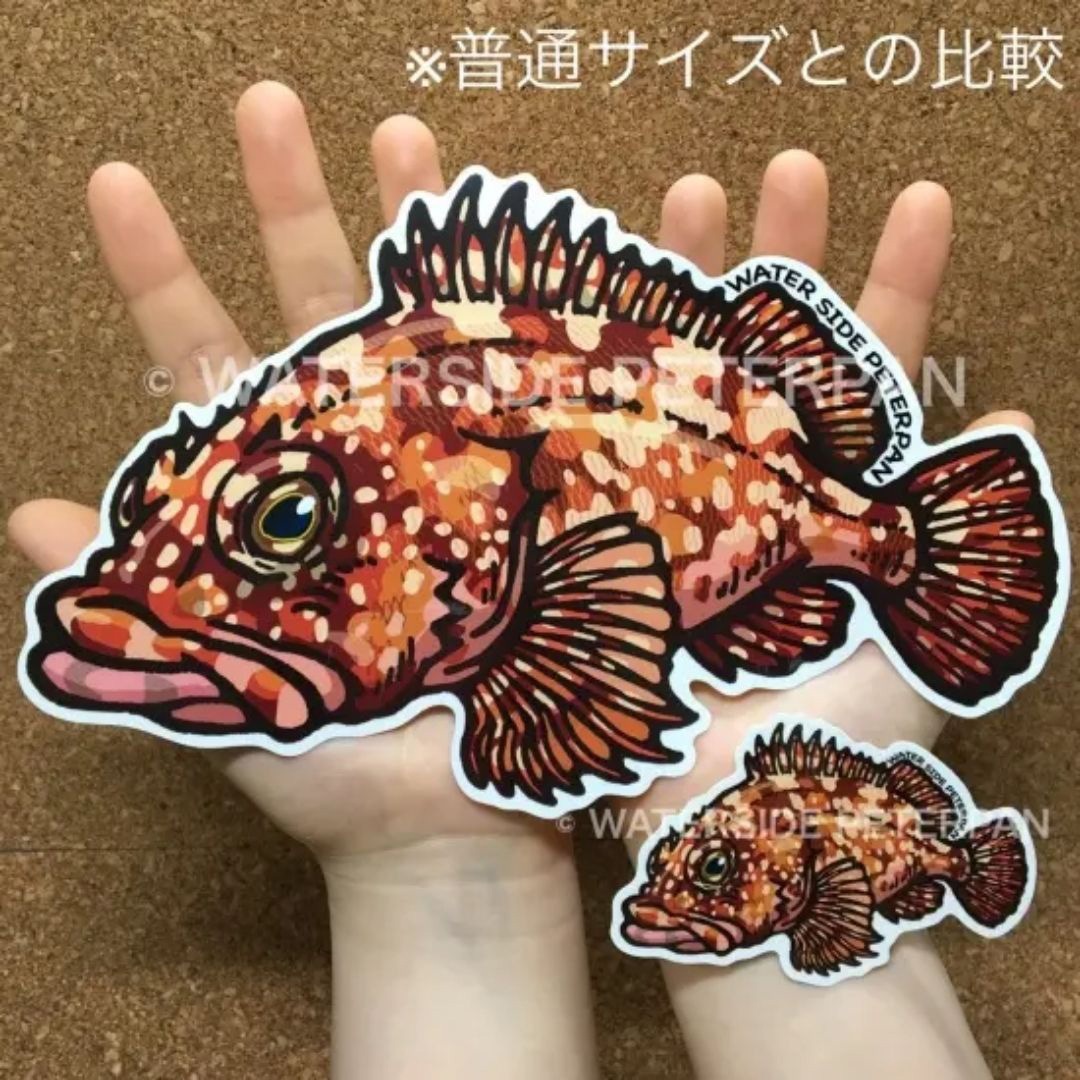 カサゴ BIGお魚 ステッカー 1枚(1枚) WATER SIDE PETERPAN