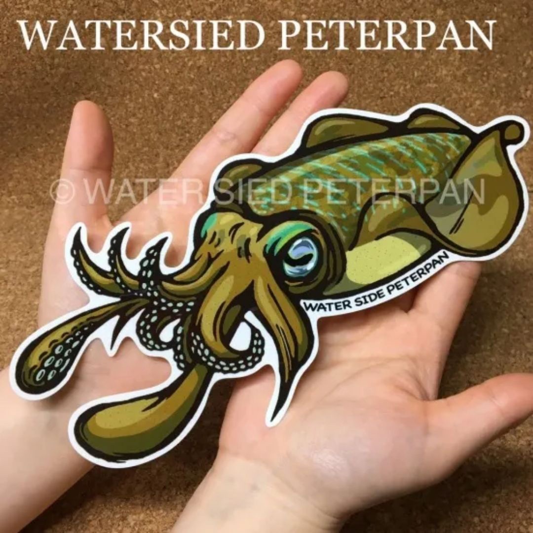 アオリイカ BIGお魚 ステッカー 1枚(1枚) WATER SIDE PETERPAN