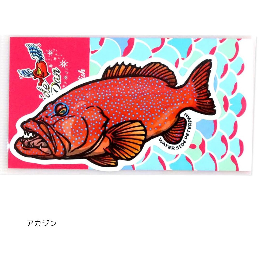 アカジン お魚ステッカー レギュラー 1枚(1枚) WATER SIDE PETERPAN