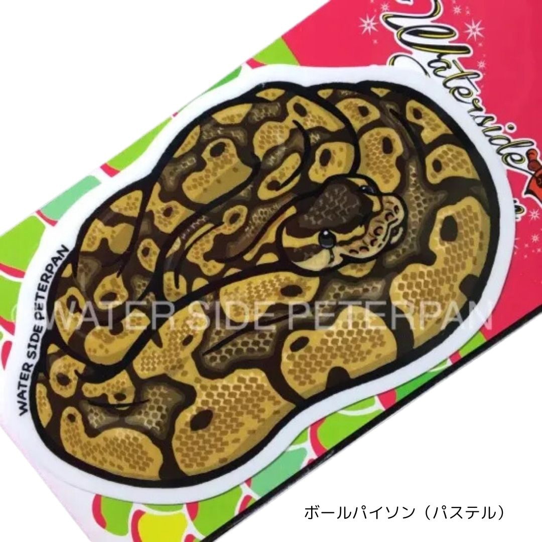 ボールパイソン(パステル) エキゾチックアニマルステッカー レギュラー