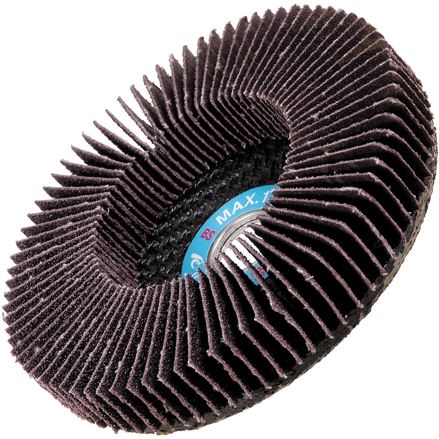 シャチおら 名古屋港水族館 シャチの名前 判別方法と詳細情報 | イルカ