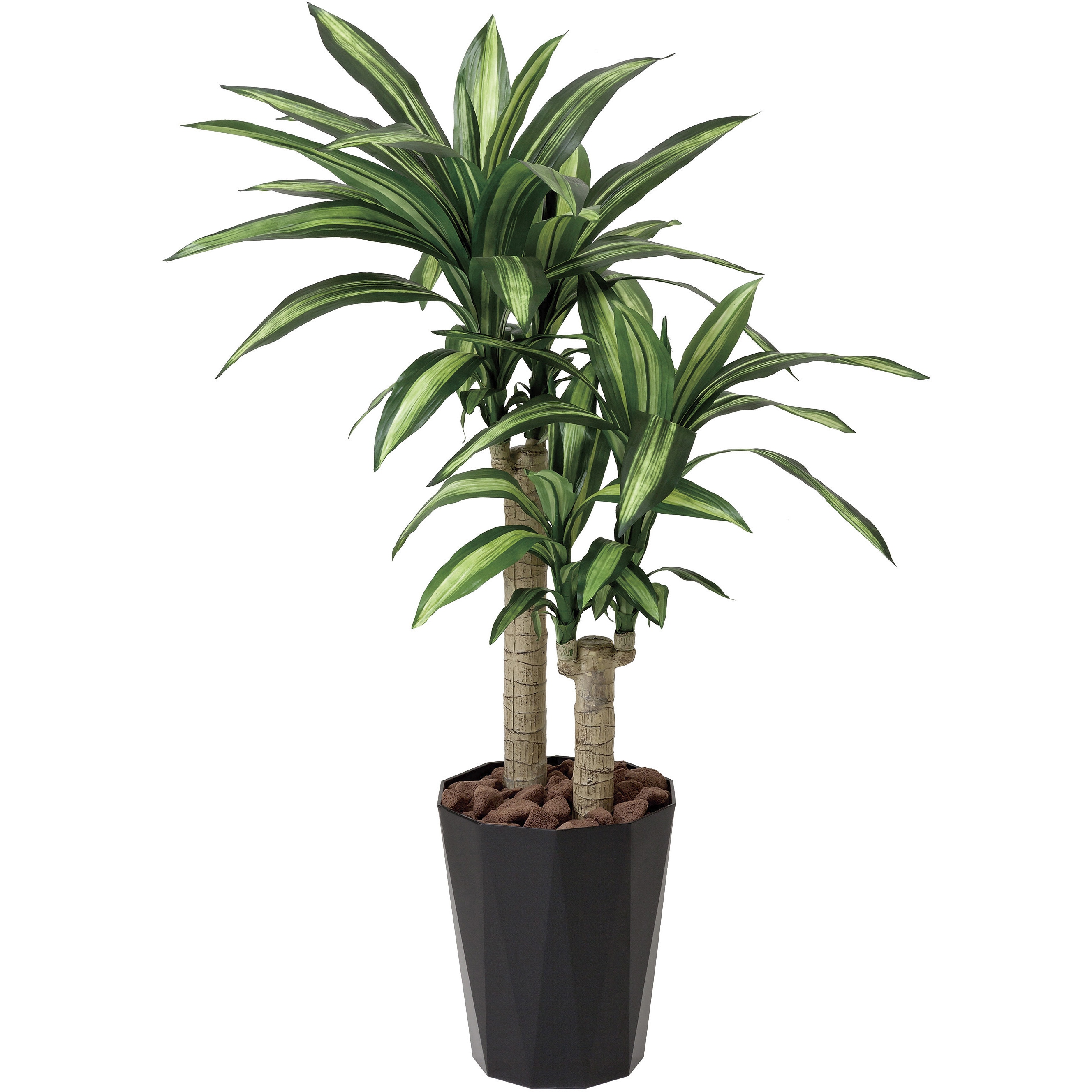 406G200 幸福の木 1個 アートクリエーション 【通販モノタロウ】