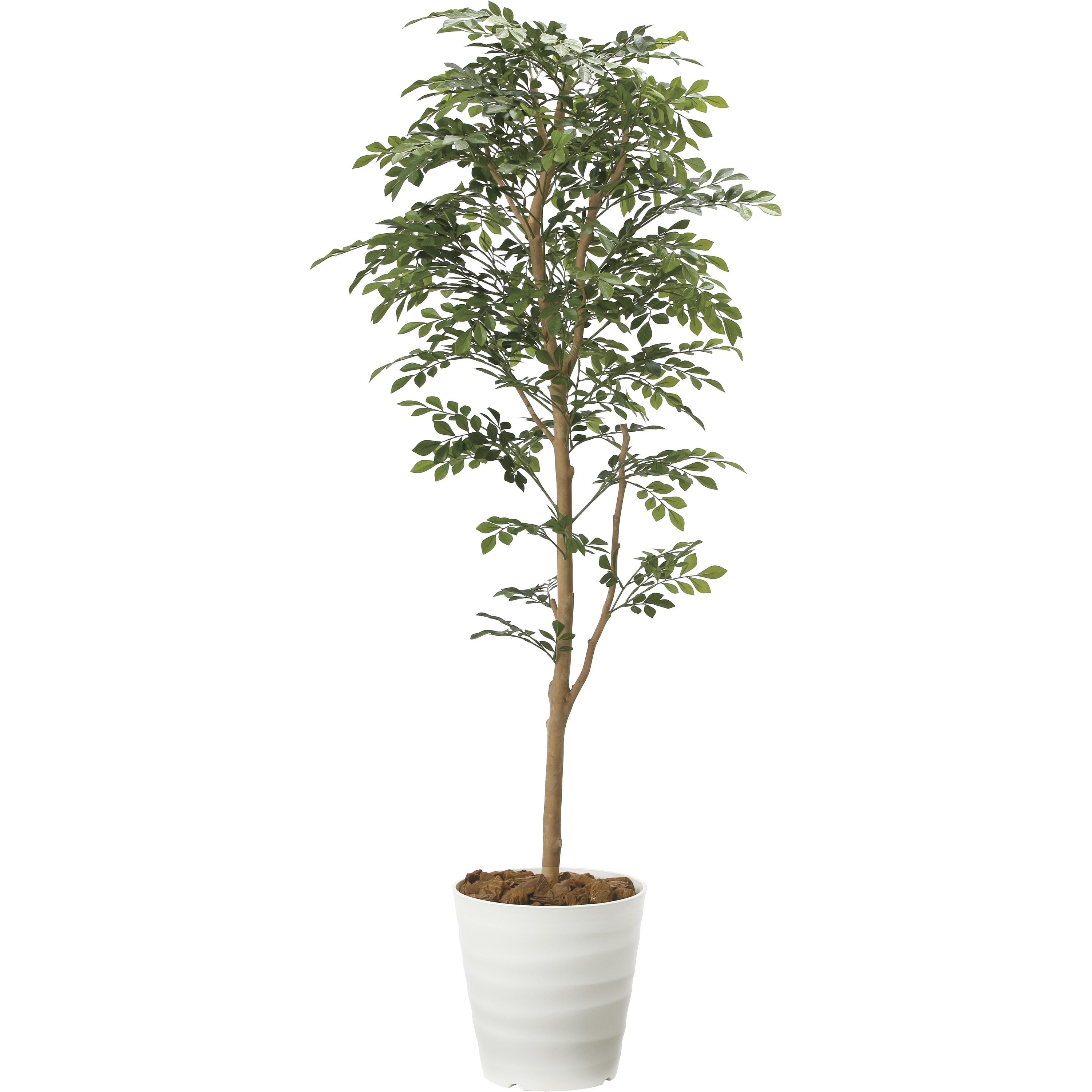 2107A300 トネリコ 1個 アートクリエーション 【通販モノタロウ】