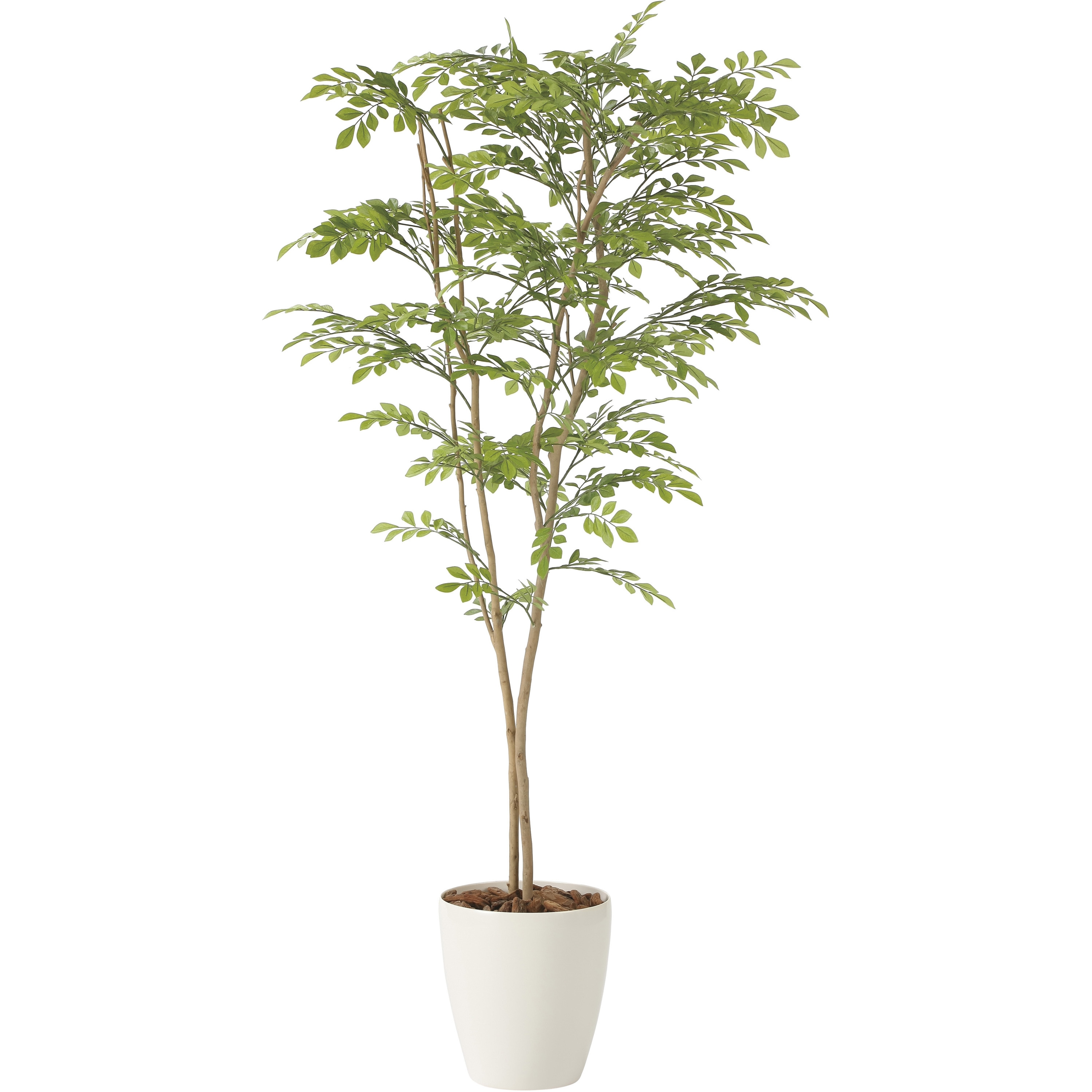 2232A180 ライトトネリコ 1個 アートクリエーション 【通販モノタロウ】