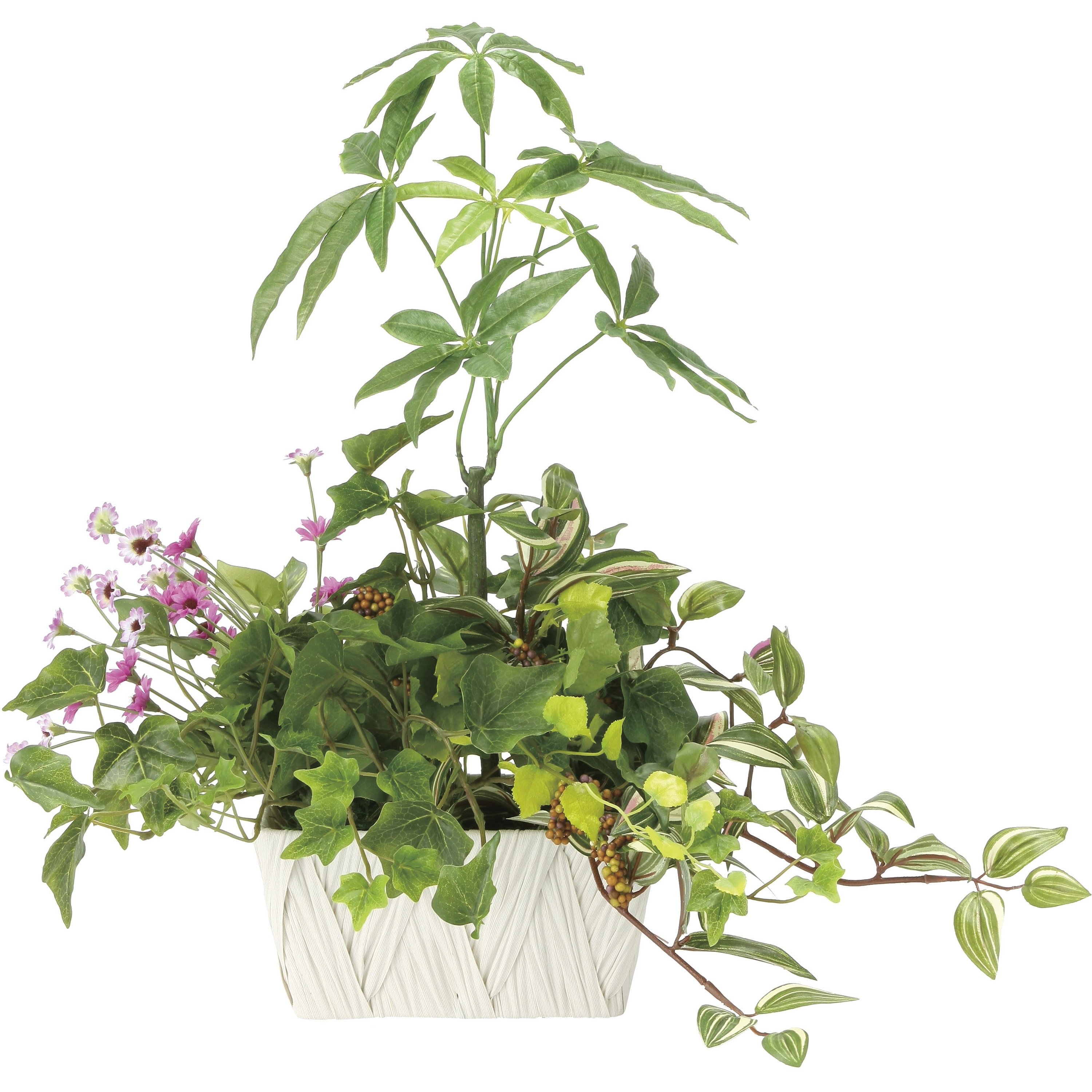 2347A100 寄せ植えパキラ 1個 アートクリエーション 【通販モノタロウ】