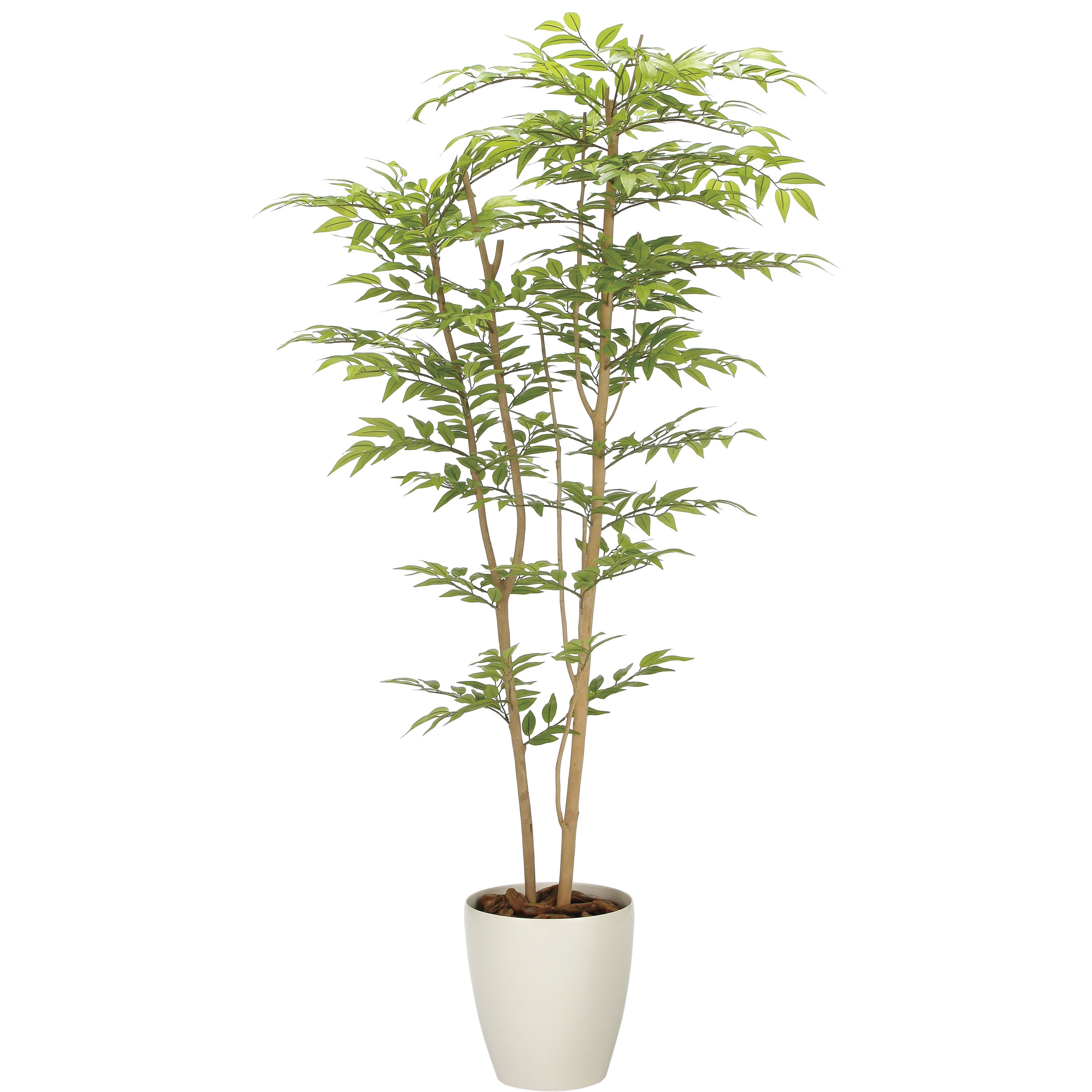 2338A380 ソヨゴ 1個 アートクリエーション 【通販モノタロウ】