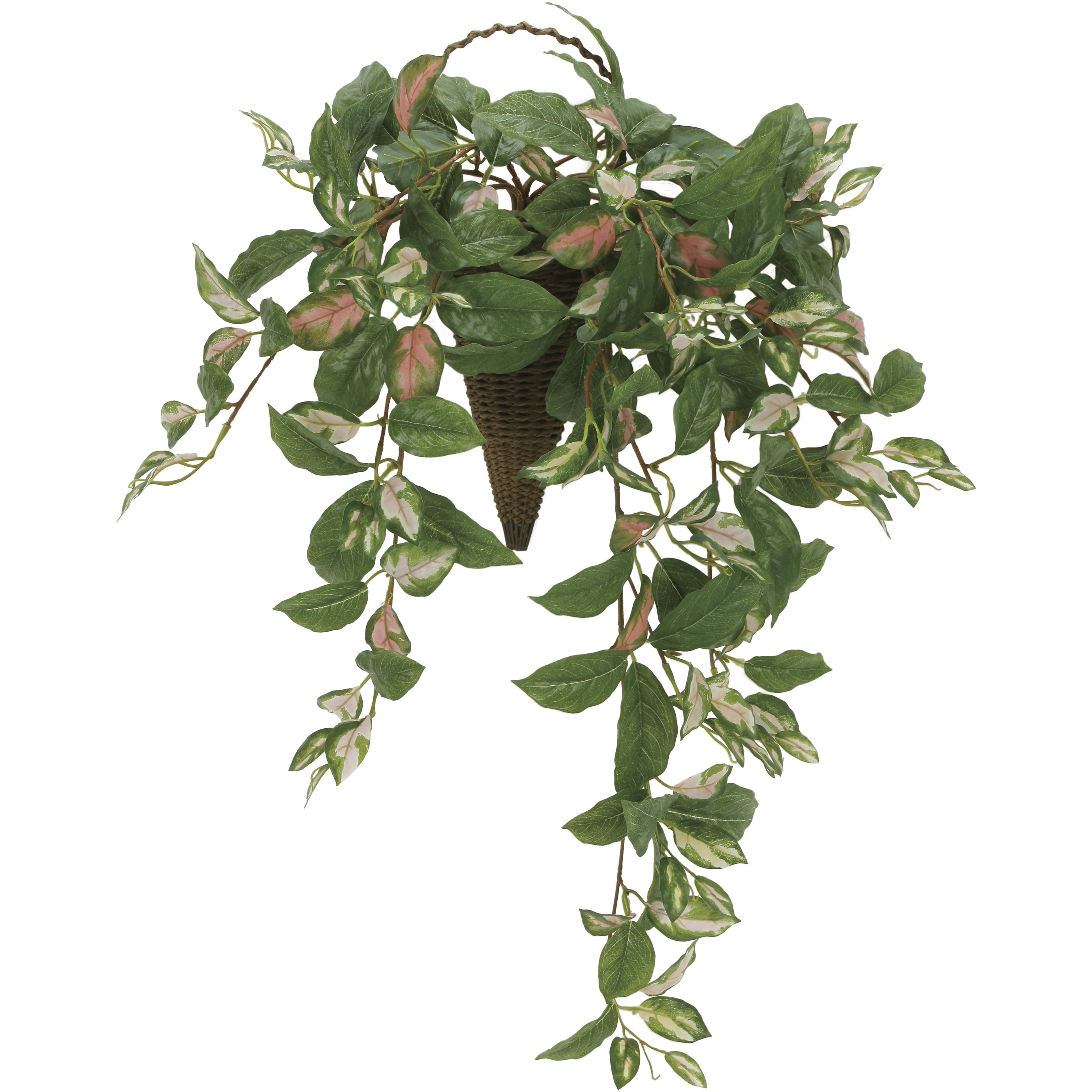 2218A90 壁掛けツートンホヤ 1個 アートクリエーション 【通販モノタロウ】