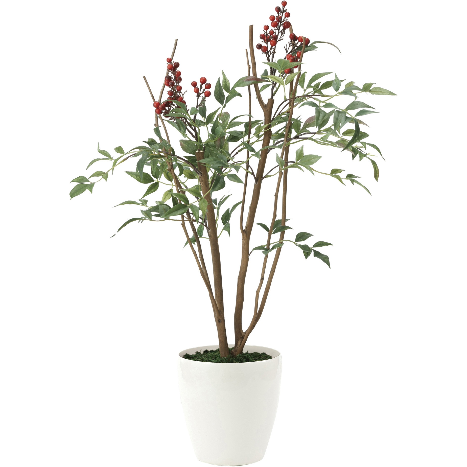 2012K80 南天70 1個 アートクリエーション 【通販モノタロウ】