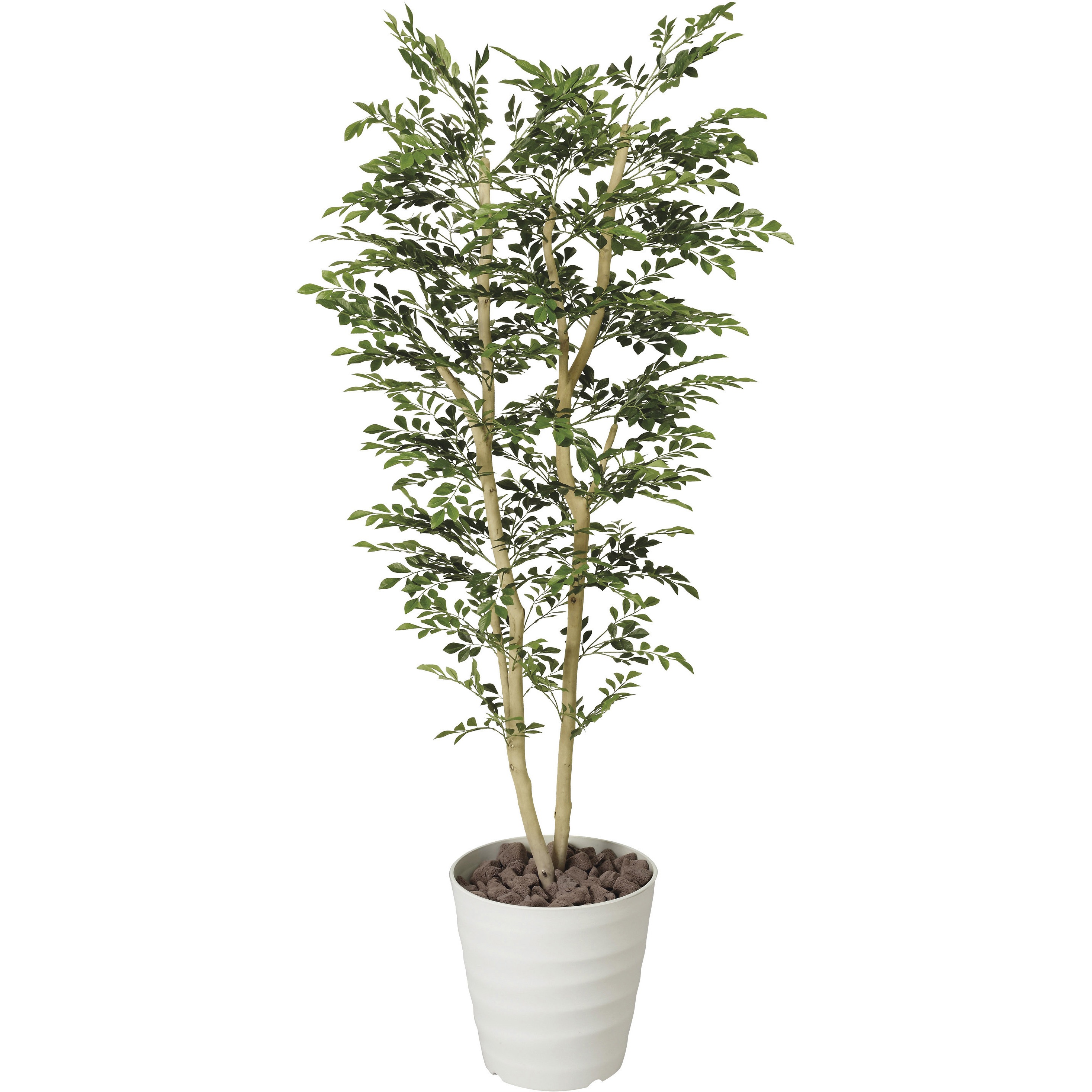 146K480 トネリコ 1個 アートクリエーション 【通販モノタロウ】