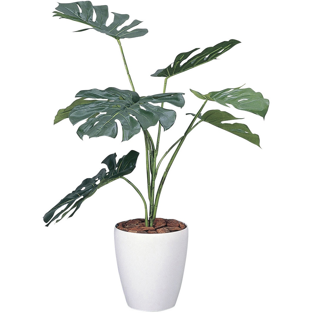 213K130 モンステラ 1個 アートクリエーション 【通販モノタロウ】 9,605円