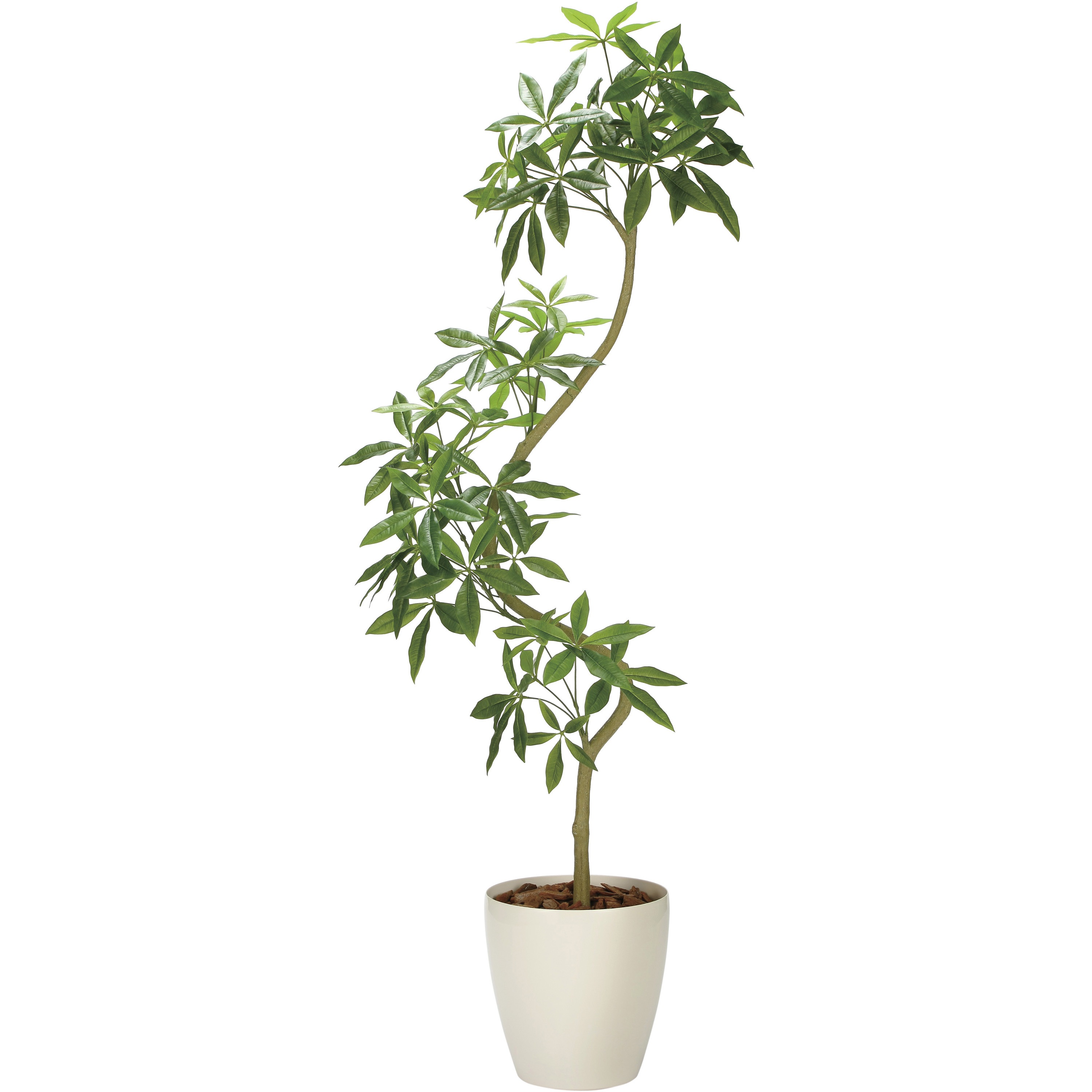 2336A780 ツイストパキラ2．1(組立式) 1個 アートクリエーション 【通販モノタロウ】