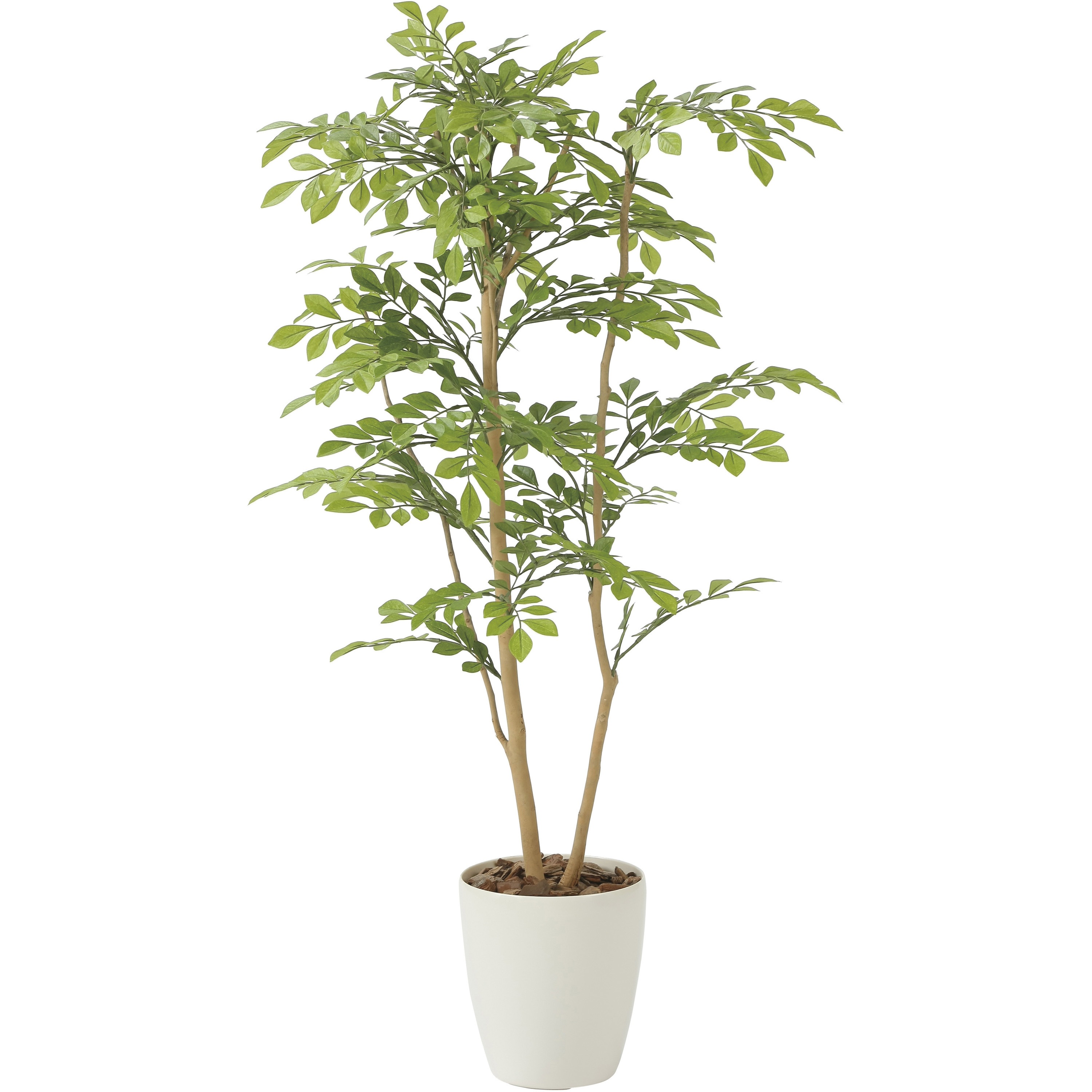 2231K330 ライトトネリコ 1個 アートクリエーション 【通販モノタロウ】 23,746円