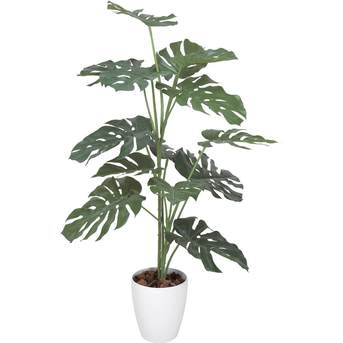 369K220 モンステラ 1個 アートクリエーション 【通販モノタロウ】