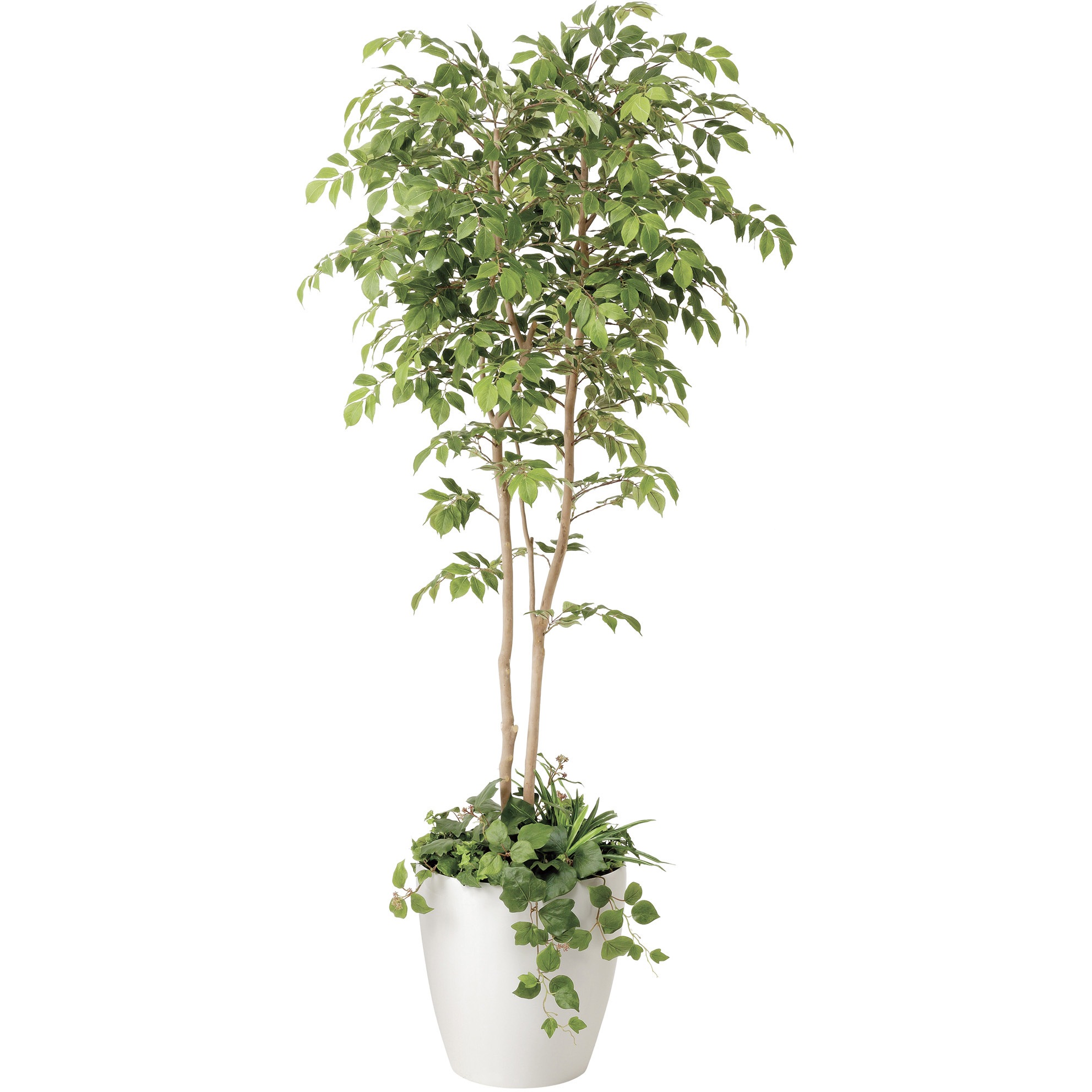 408K550 マウンテンアッシュ1．8植栽付 1個 アートクリエーション 【通販モノタロウ】