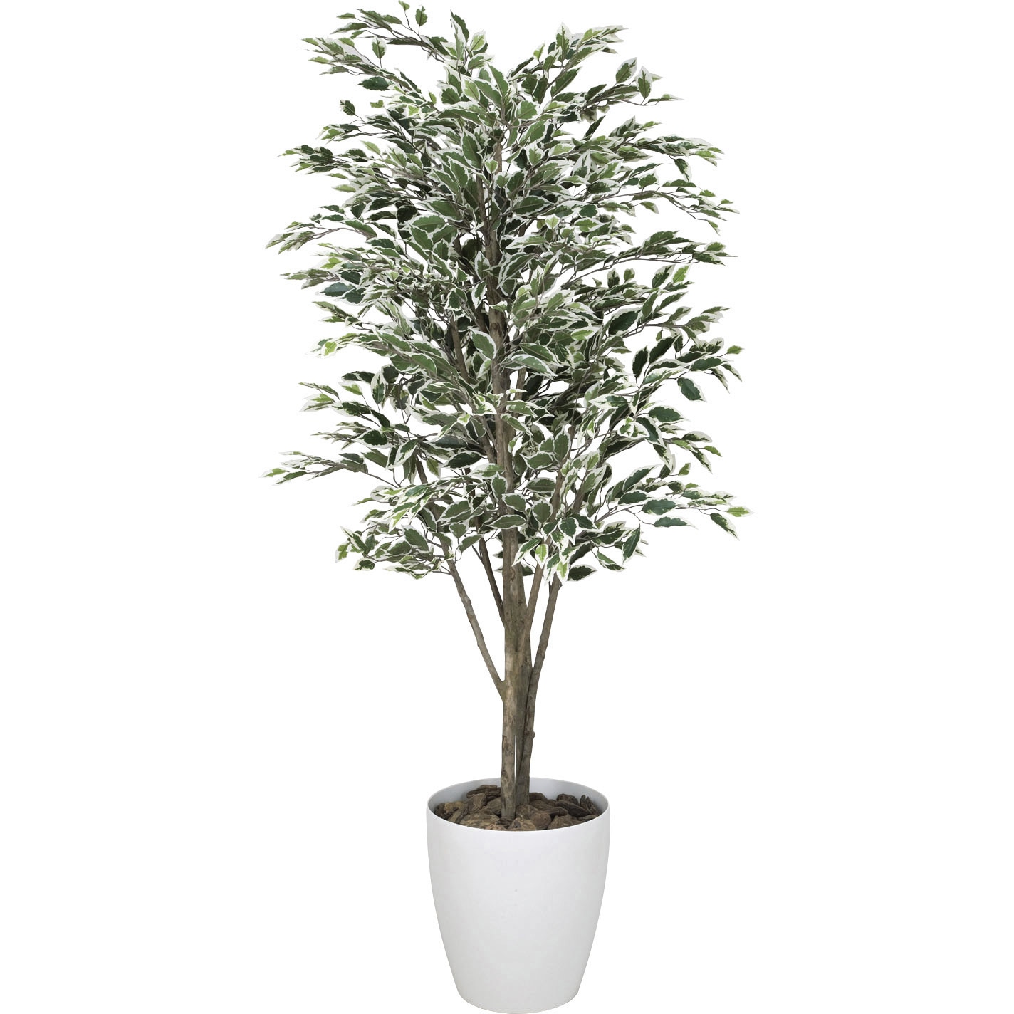 154K520 ベンジャミンツリ-斑入り 1個 アートクリエーション 【通販モノタロウ】