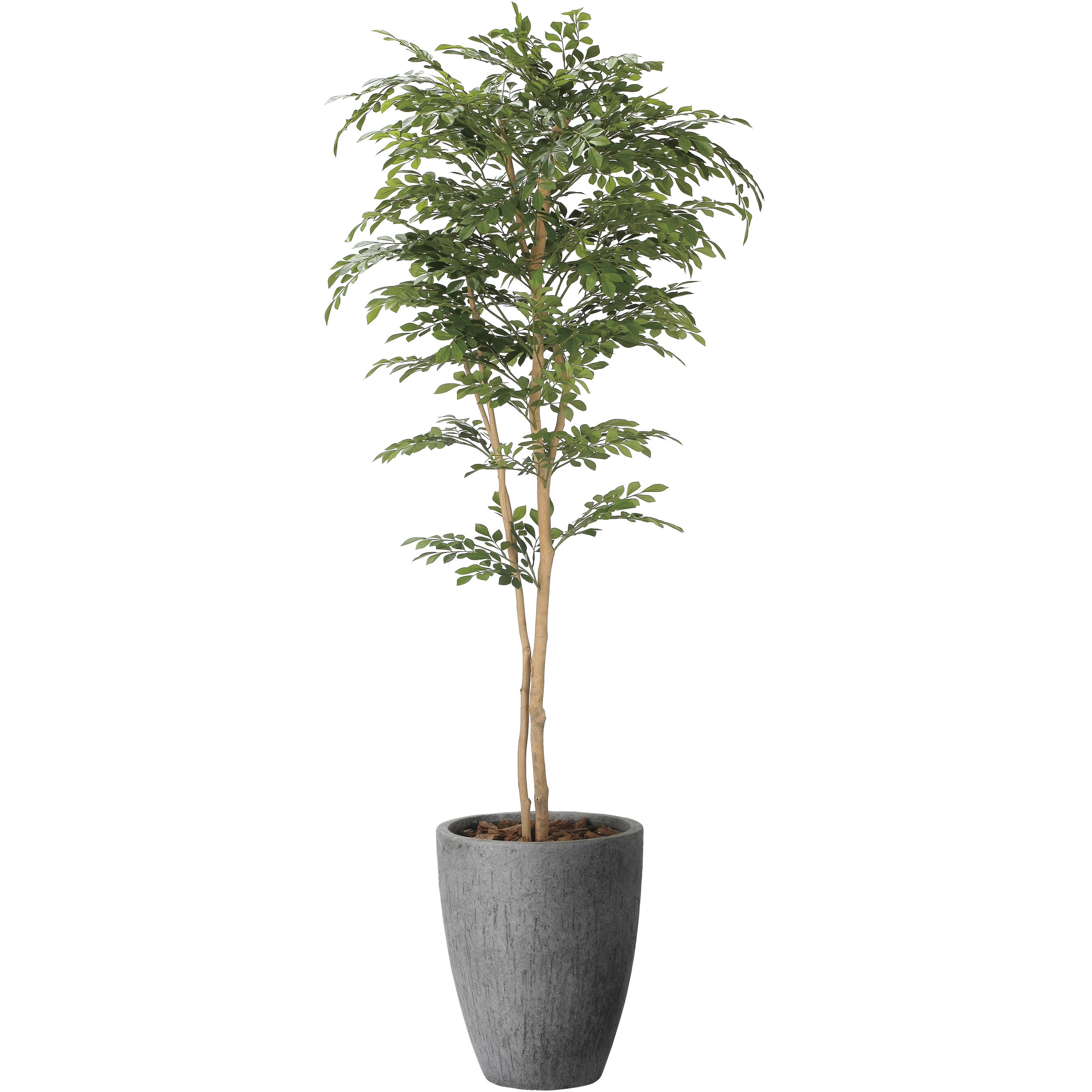 2407A720 ナチュラルトネリコ1．8 1個 アートクリエーション 【通販モノタロウ】 45,487円