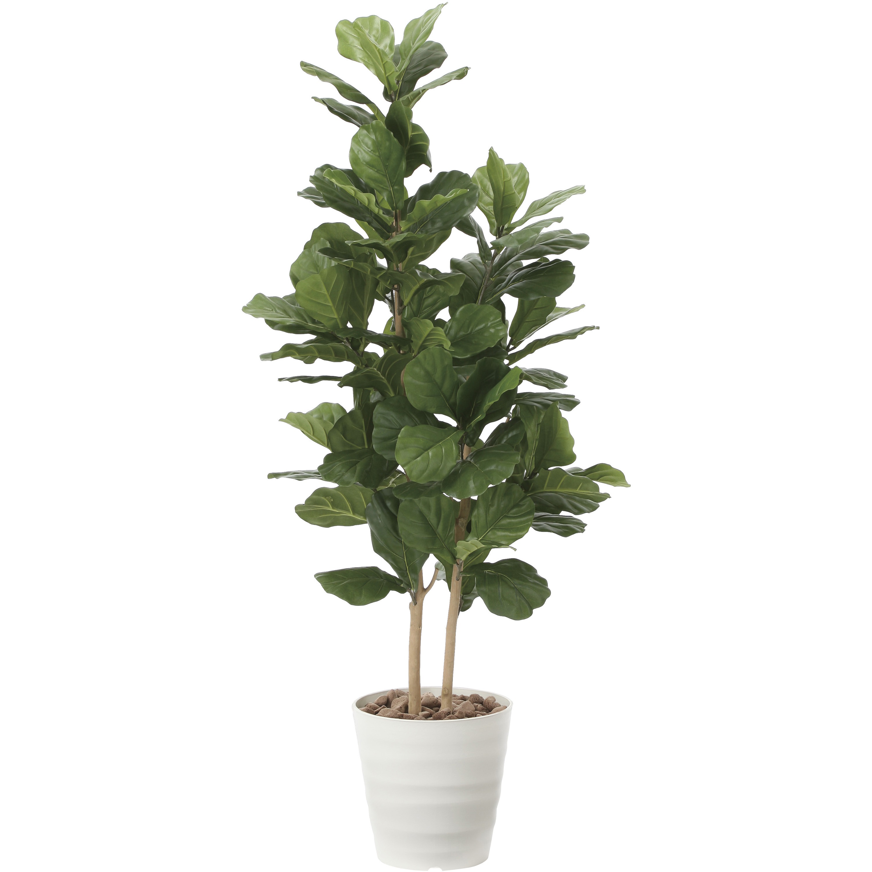 2126A380 カシワバゴム 1個 アートクリエーション 【通販モノタロウ】