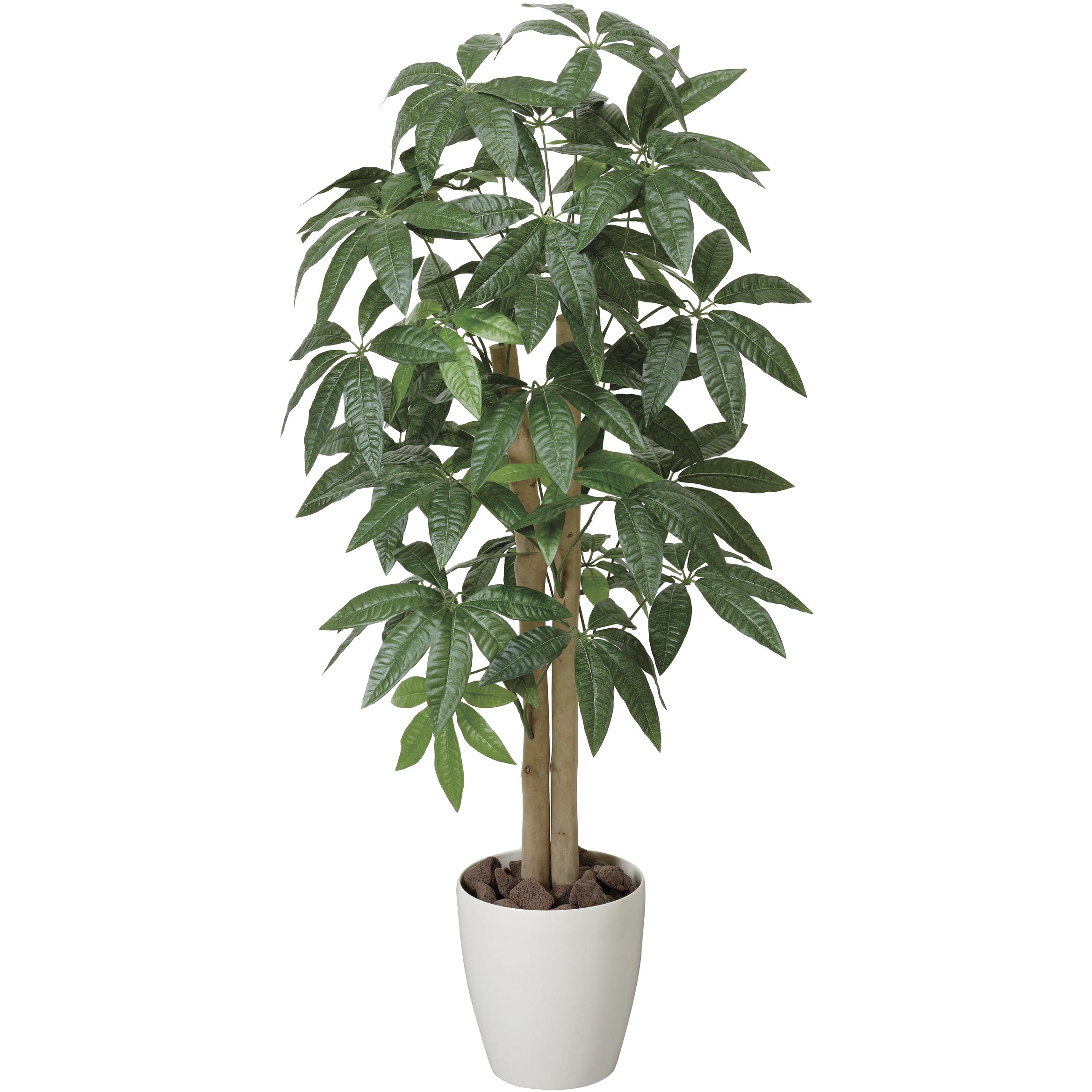 199K160 パキラ 1個 アートクリエーション 【通販モノタロウ】