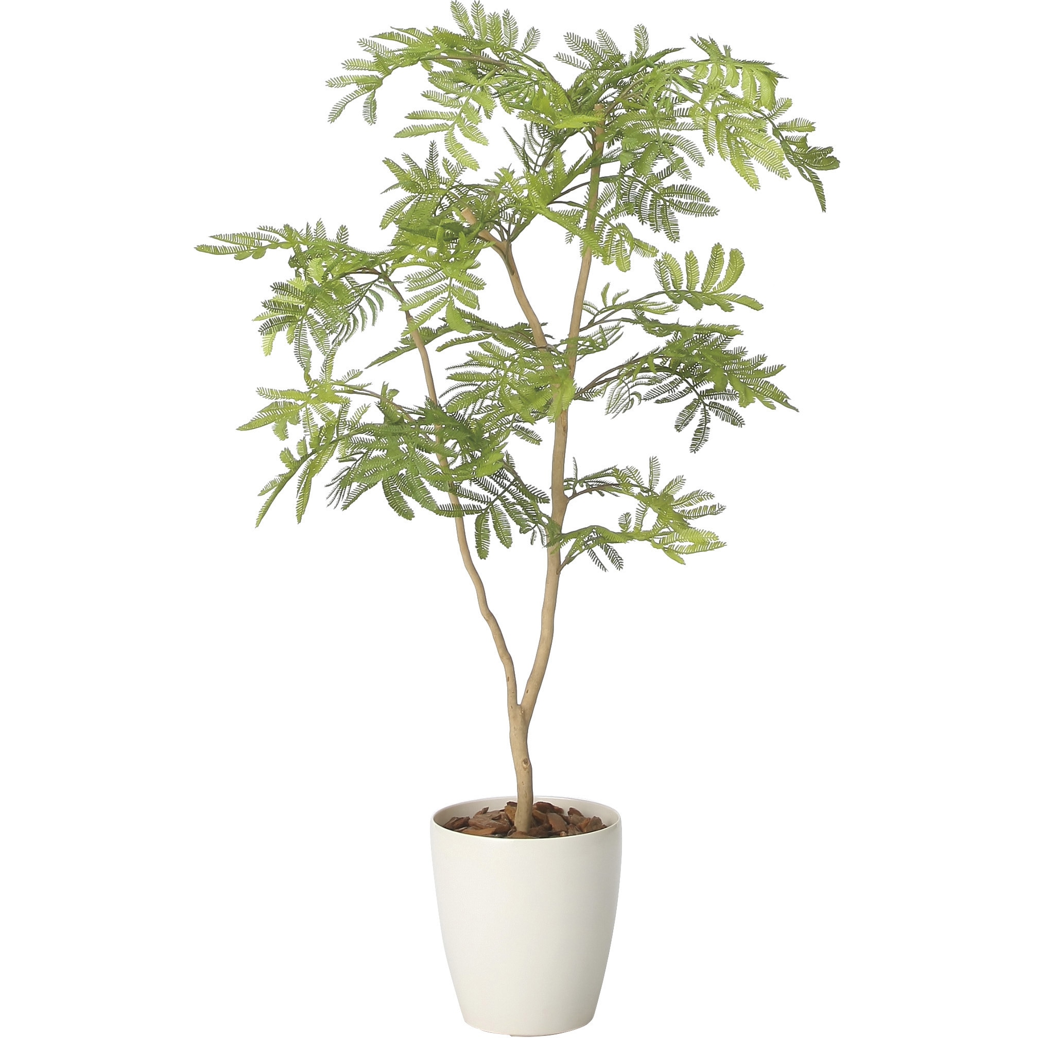 2428A150 ねむの木 1個 アートクリエーション 【通販モノタロウ】