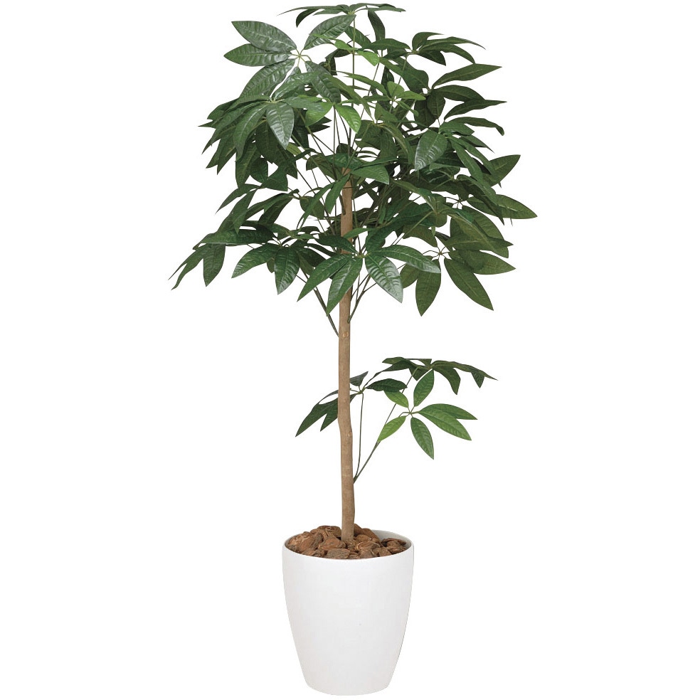 193A180 パキラトピアリ 1個 アートクリエーション 【通販モノタロウ】