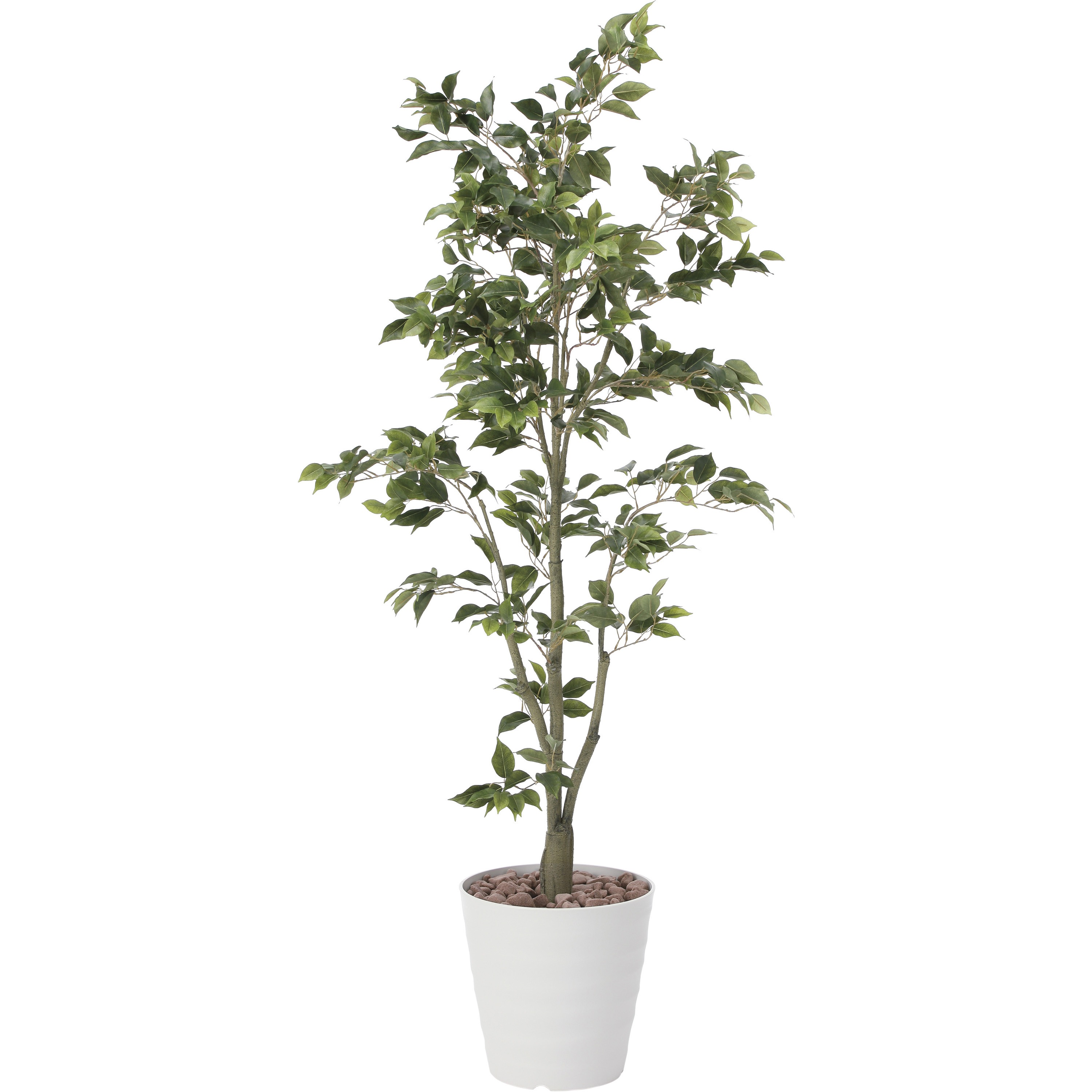 822K400 フィカスツリ―1．8 1個 アートクリエーション 【通販モノタロウ】