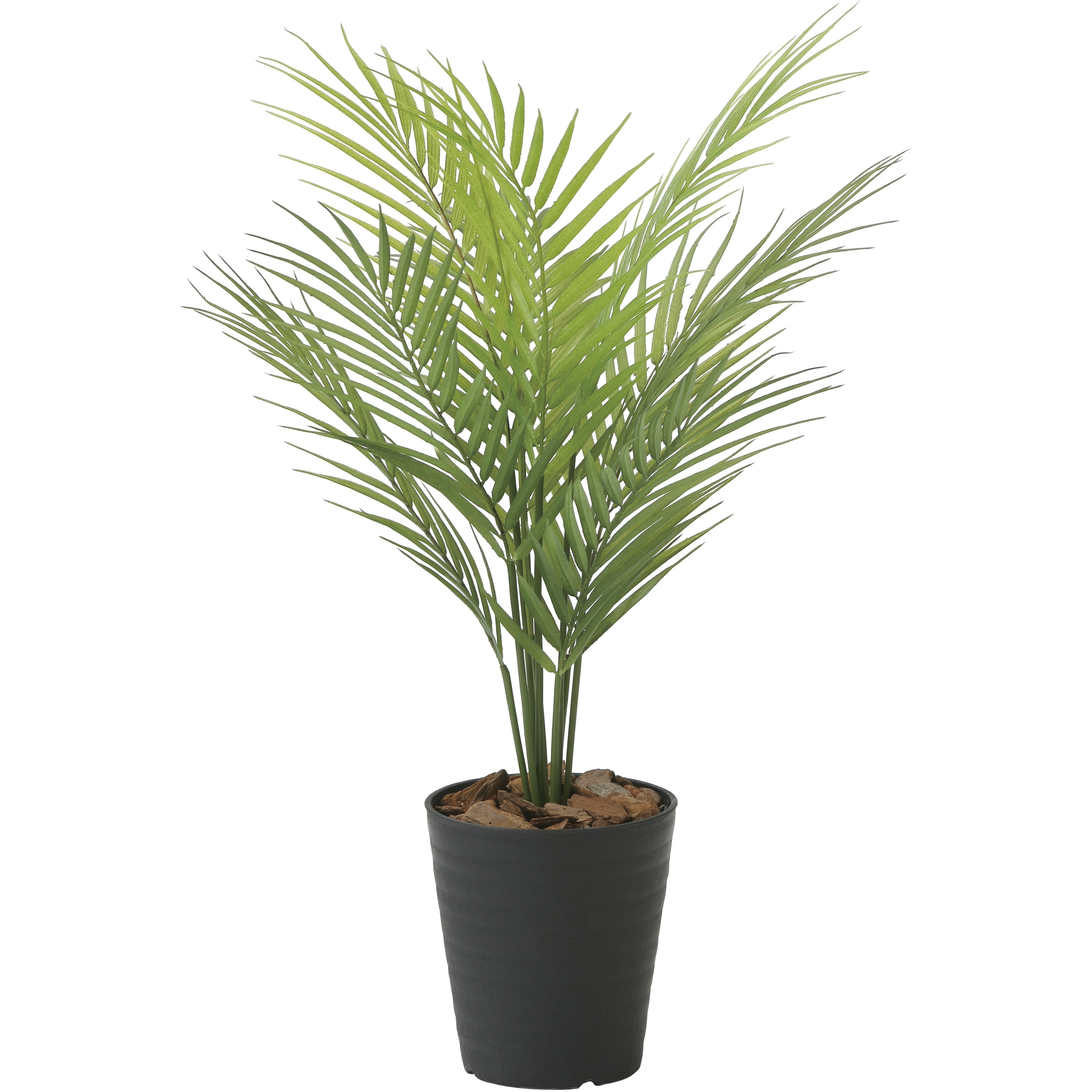 2235A65 パームツリー 1個 アートクリエーション 【通販モノタロウ】