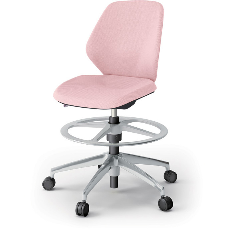 中古】ワイルドボアの平和 SHOGATSU CONCERT 2007 [DVD]：お取り寄せ