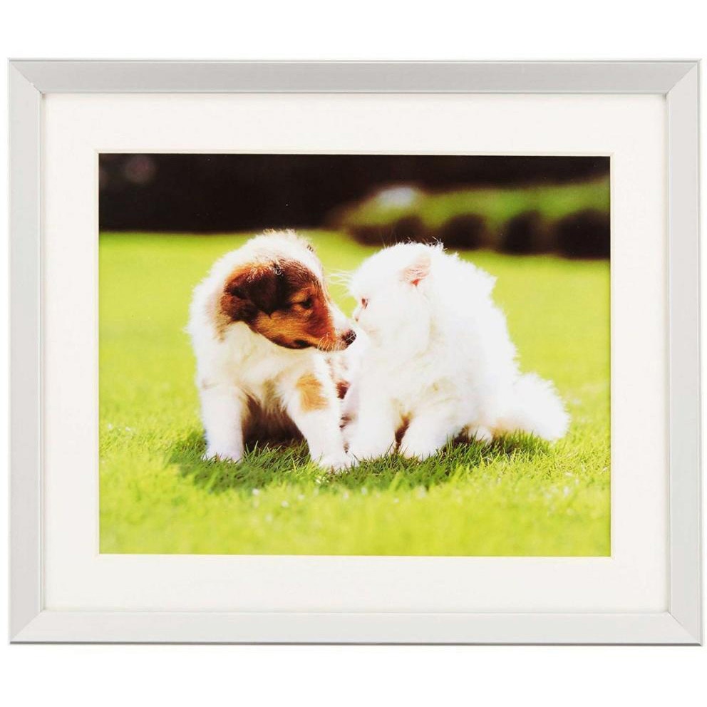 フジカラー 写真用アルミ額縁 A300 6切 5枚セット フジカラー 写真用