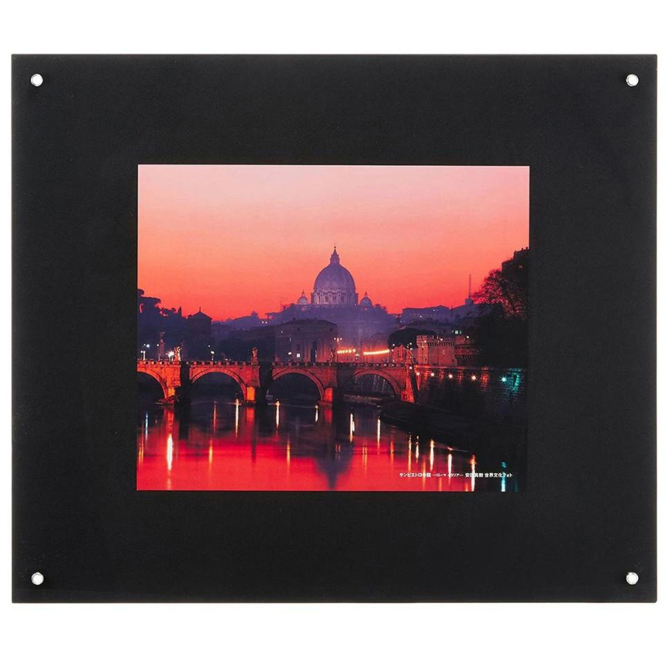 TOKU-FREE-L-BK プロフレーム フジカラー ブラック色   TOKU-FREE-L-BK