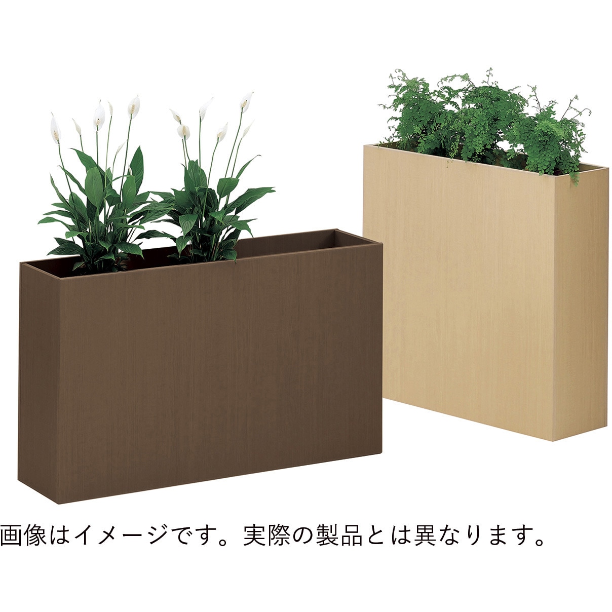 大地農園 EARTH MATTERS ローズ・てまり モーブピンク