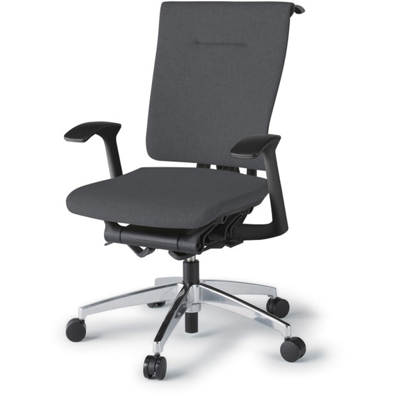 KF-585SAHZTT3 セレーオチェア スタンダードタイプ 固定肘 ハンガー クロスバックSA アルミミラー脚<配送時組立サービス付> 1台 イトーキ 【通販モノタロウ】