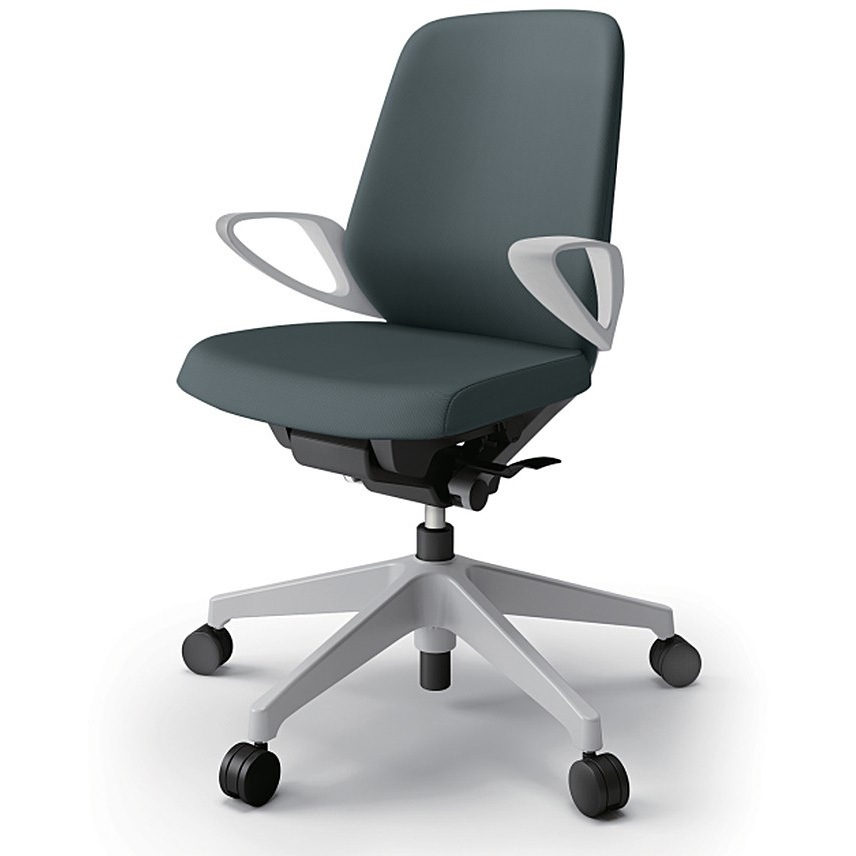 KJ-126PV-GNW2 ノートチェア ローバック 固定肘 ランバーサポート付 クロスPV ナイロンキャスター<配送時組立サービス付> 1台 イトーキ 【通販モノタロウ】