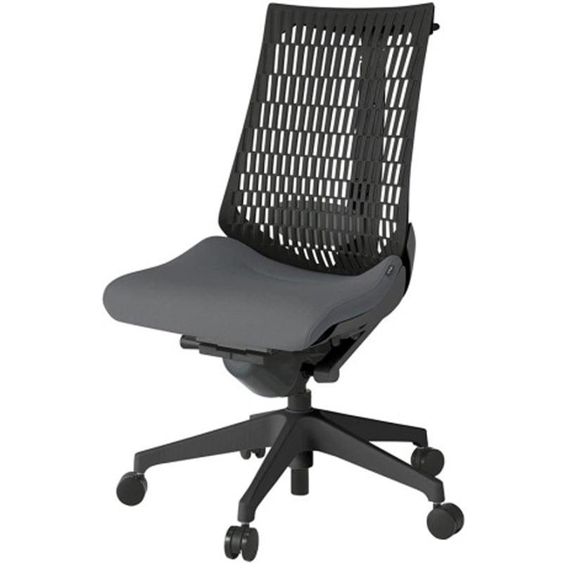 KG420SCHT1T3T1 アクトチェア エラストマーバック 肘なし ハンガー ランバーサポート付 樹脂脚 SC張地 ナイロンキャスター<配送時組立サービス付> 1台 イトーキ 【通販モノタロウ】