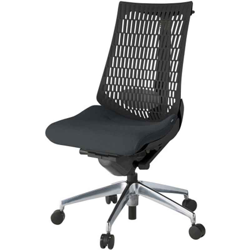KG420PSHZTT1T1 アクトチェア エラストマーバック 肘なし ハンガー ランバーサポート付 アルミミラー脚 PS張地 ナイロンキャスター<配送時組立サービス付> 1台 イトーキ 【通販モノタロウ】