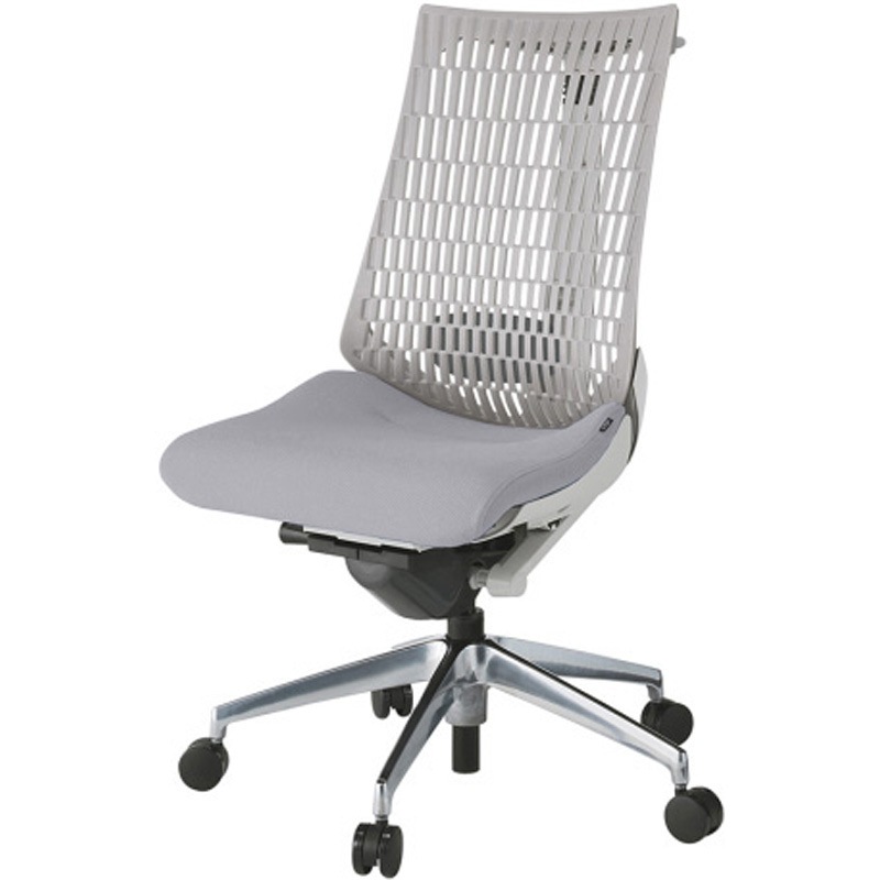 KG420PSHMZNW6T6 アクトチェア エラストマーバック 肘なし ハンガー ランバーサポート付 アルミミラー脚 PS張地 ウレタンキャスター<配送時組立サービス付> 1台 イトーキ 【通販モノタロウ】 71,390円