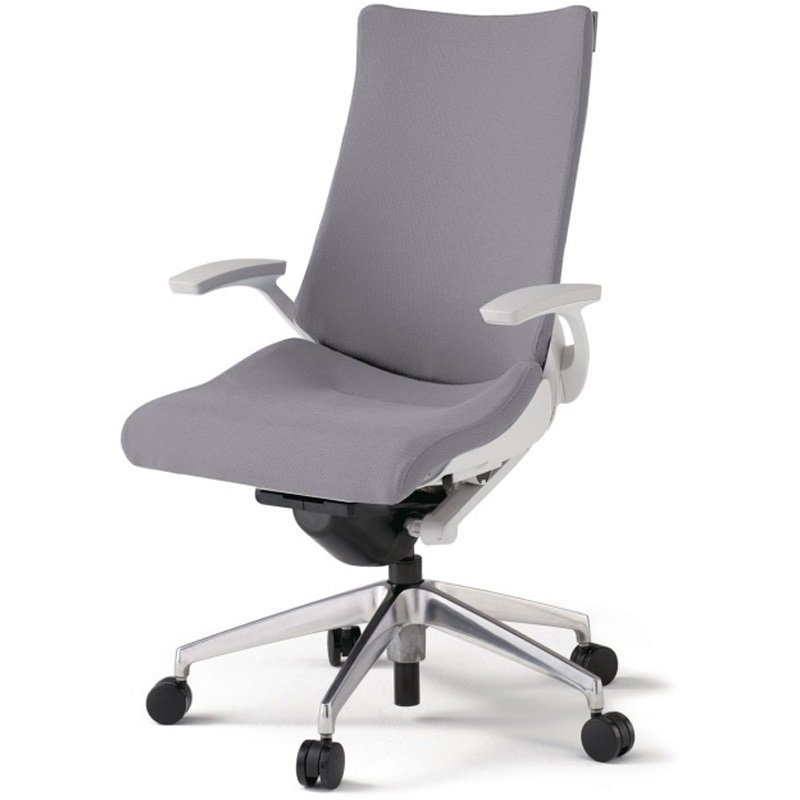 KG-435PS-ZWW6 アクトチェア 固定肘 ランバーサポートなし アルミミラー脚 クロスPS ナイロンキャスター<配送時組立サービス付> 1台 イトーキ 【通販モノタロウ】