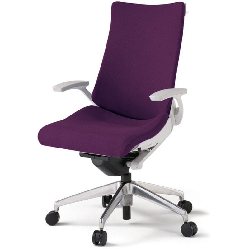 KG-435PSHM-ZWX7 アクトチェア 固定肘 ハンガー ランバーサポートなし アルミミラー脚 クロスPS ウレタンキャスター<配送時組立サービス付> 1台 イトーキ 【通販モノタロウ】