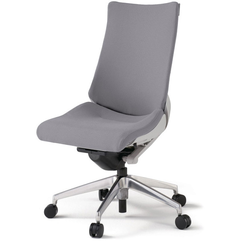 KG-430PS-ZNW6 アクトチェア 肘なし ランバーサポートなし アルミミラー脚 クロスPS ナイロンキャスター<配送時組立サービス付> 1台 イトーキ 【通販モノタロウ】 53,988円