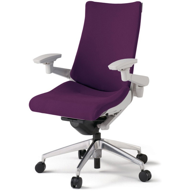 KG-417PS-ZNX7 アクトチェア 可動肘 ランバーサポート付 アルミミラー脚 クロスPS ナイロンキャスター<配送時組立サービス付> 1台 イトーキ 【通販モノタロウ】 71,390円