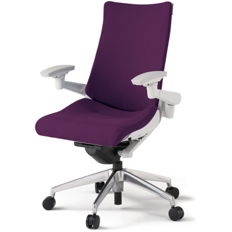 KG-417PS-ZWX7 アクトチェア 可動肘 ランバーサポート付 アルミミラー脚 クロスPS ナイロンキャスター<配送時組立サービス付> 1台 イトーキ 【通販モノタロウ】