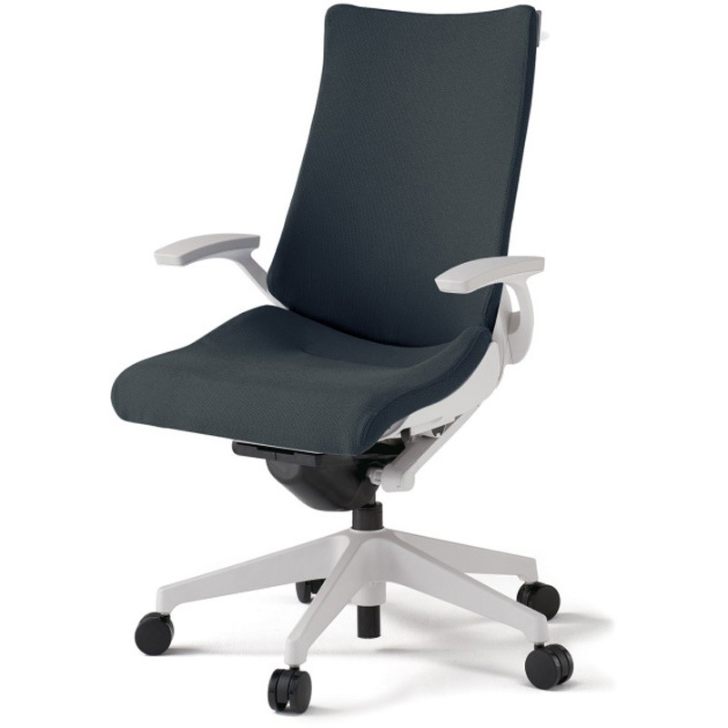 KG-415PSHM-W9W2 アクトチェア 固定肘 ハンガー ランバーサポート付 樹脂脚 クロスPS ウレタンキャスター<配送時組立サービス付> 1台 イトーキ 【通販モノタロウ】