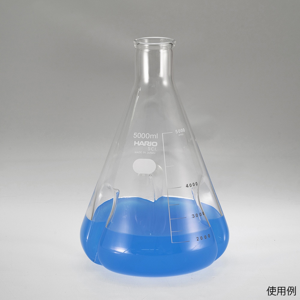 BSF-500-SCI バッフル付き三角フラスコ BSFシリーズ HARIO 500mL BSF