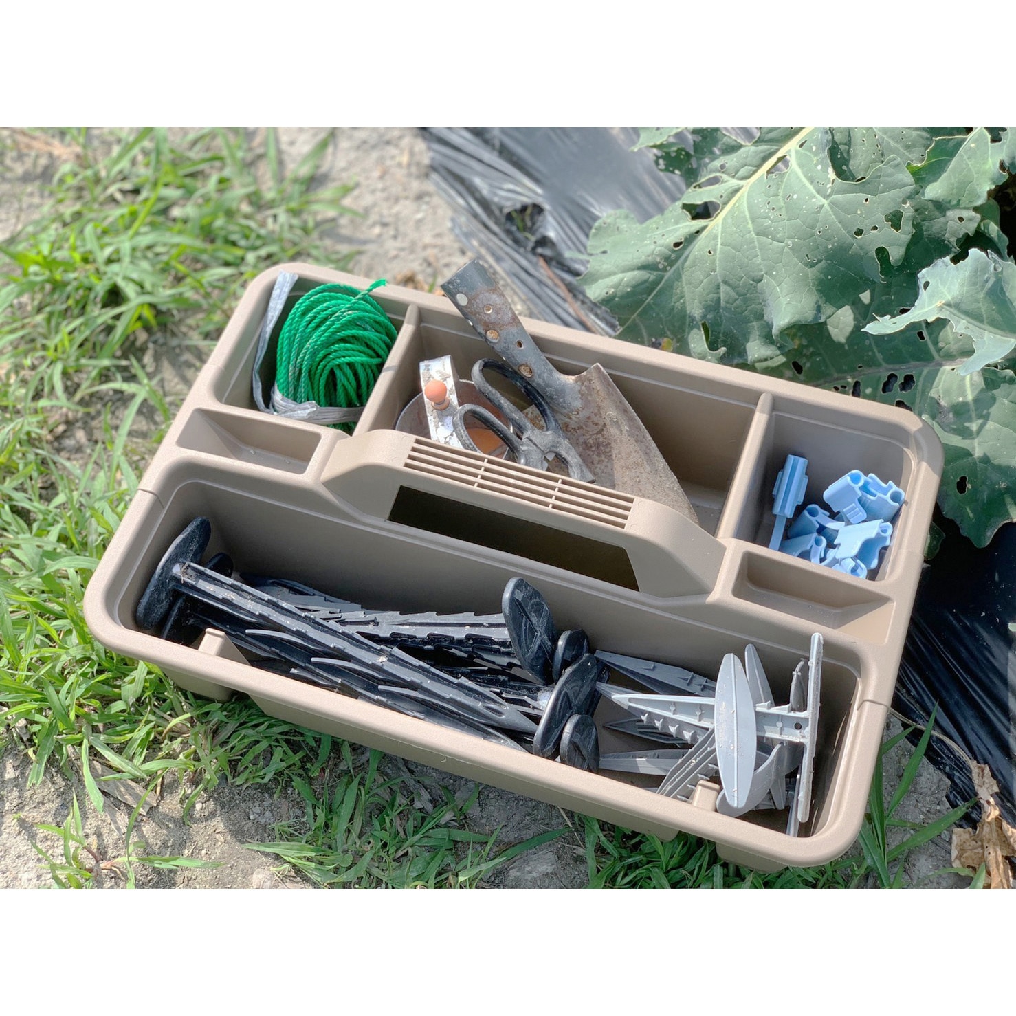 TH-465 タフリー リングスター 角型 ブラウン色 1個 TH-465 - 【通販