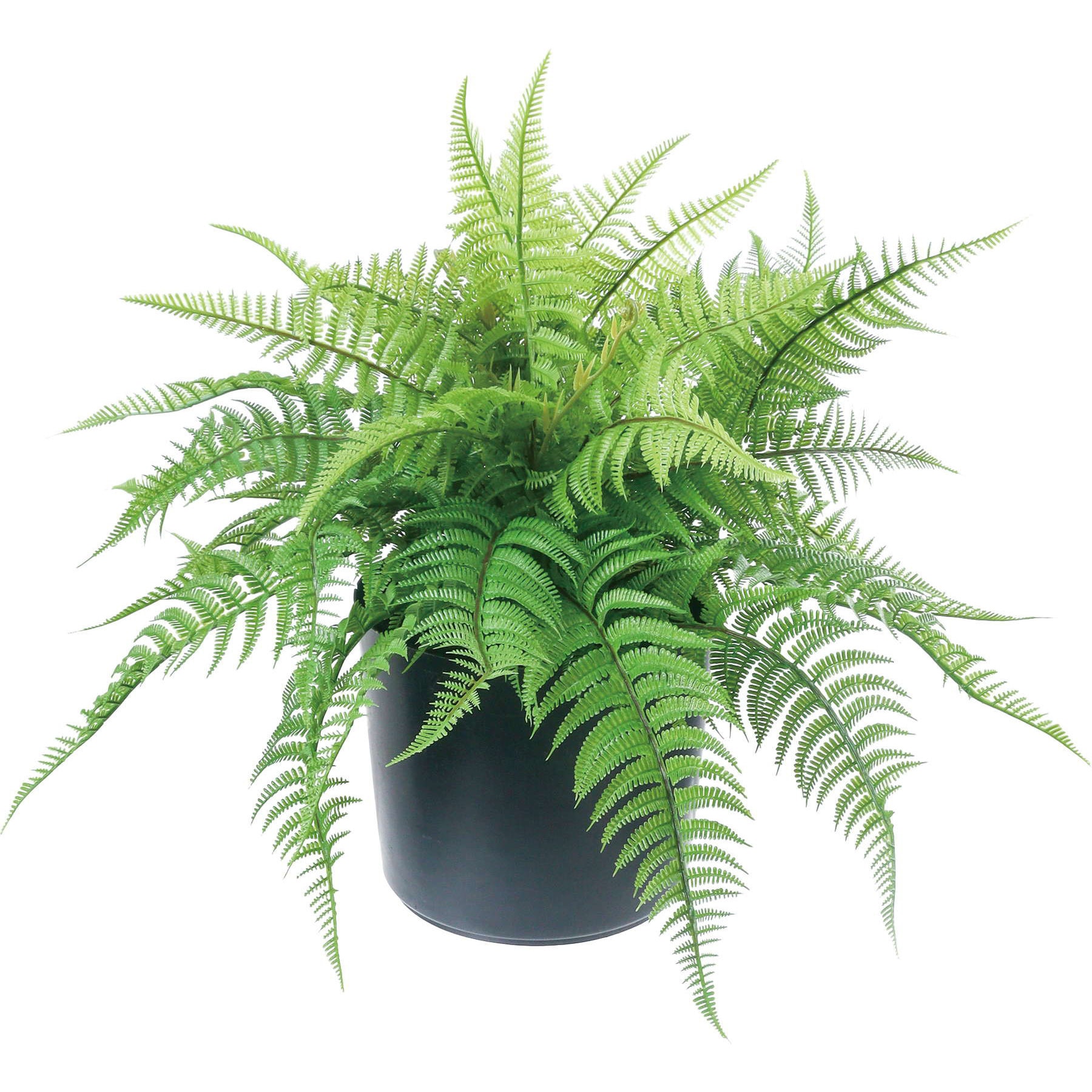 GLA-1517 ファーンポット 1本 横浜ディスプレイミュージアム 【通販モノタロウ】