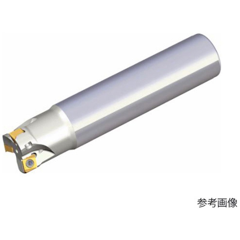 4N TE90-216-W16-06 ミーリングカッター チェイス4ミル 1本 テグテックジャパン 【通販モノタロウ】