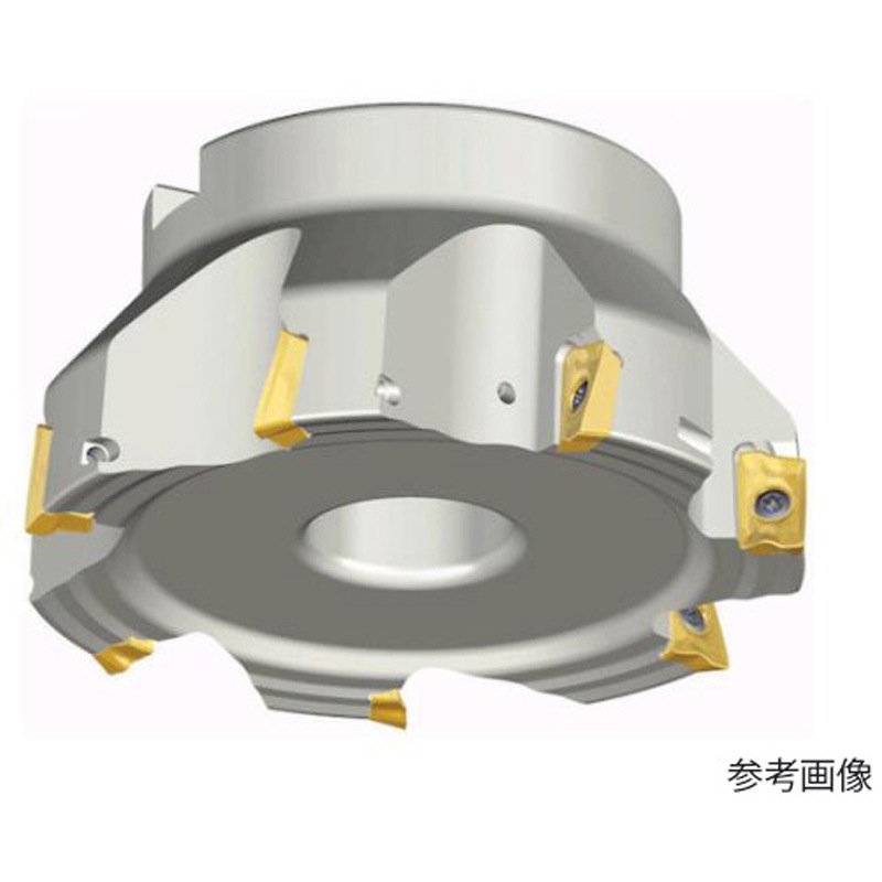 TFM90AP 480-25.4R-17-B ミーリングカッター チェイスミル 1本 テグテックジャパン 【通販モノタロウ】