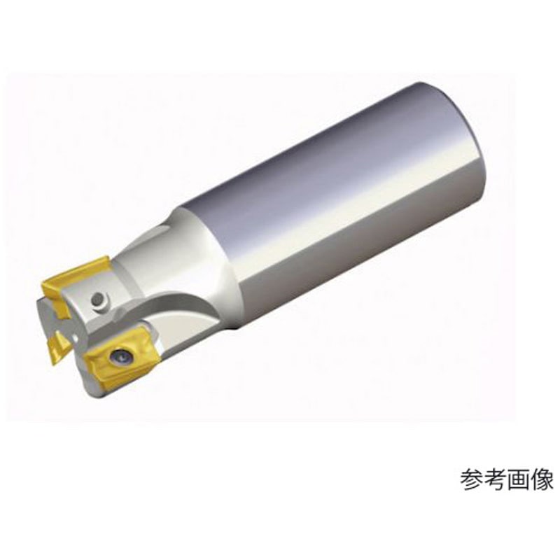 TE90AP 225-25-17-L ミーリングカッター チェイスミル 1本 テグテックジャパン 【通販モノタロウ】