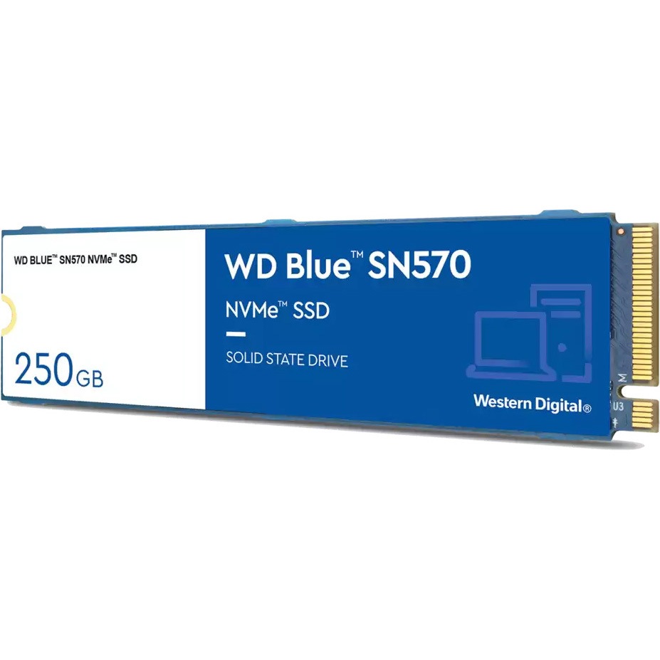 WDS250G3B0C 内蔵SSD WD Blue SN570(NVMe) 1台 Western Digital