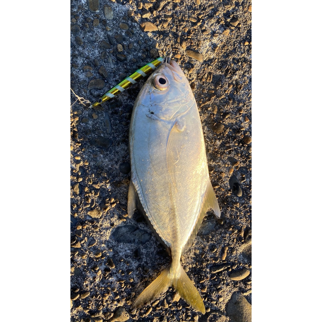 GS010 ZGグリーンゴールド Gスラッシャー 30g ジーク GS010 ZG